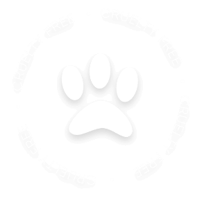 CRUELTY FREE